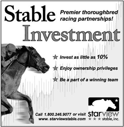 A Stable Investment